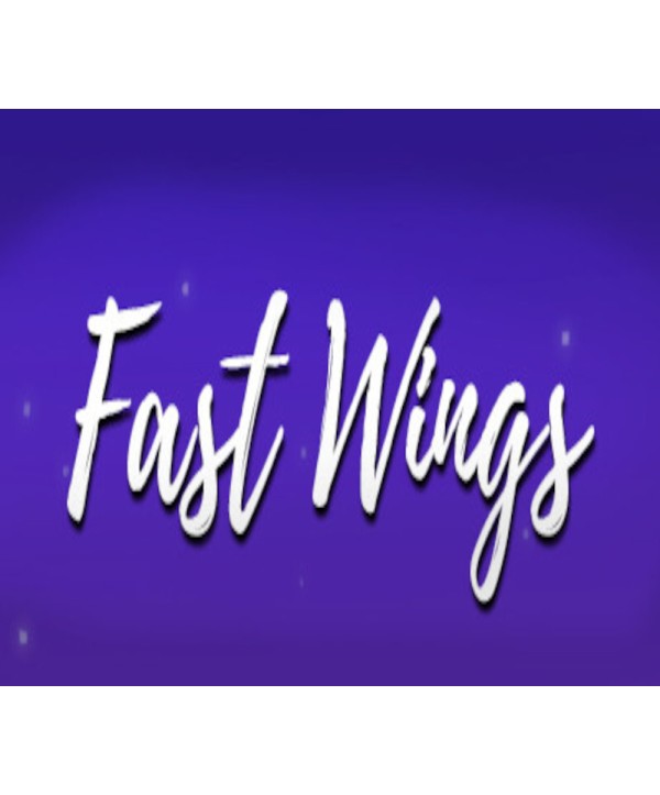 Fast Wings Steam Key GLOBAL